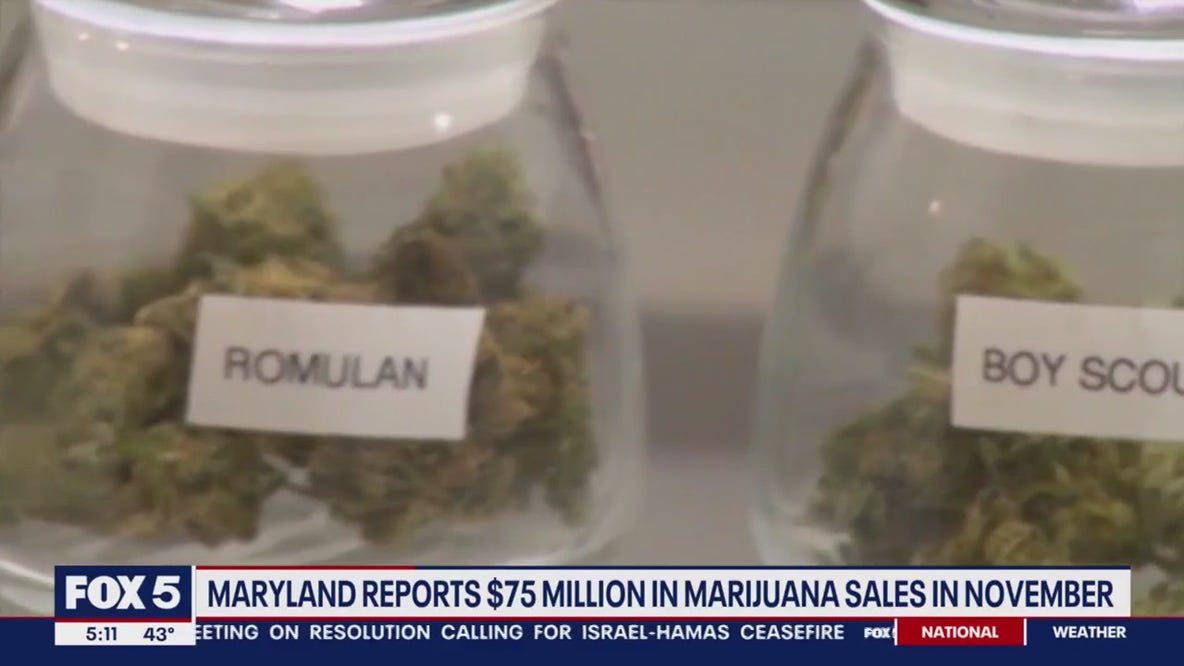 Maryland hits $75M cannabis milestone in November